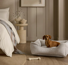 Piped Edge Pet Bed - Bone