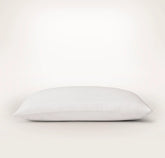Signature Stitchline Sham - White