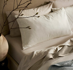 Signature Vintage Washed Comforter Set - Vintage Cream