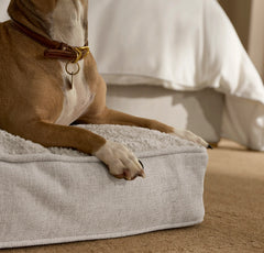 Piped Edge Pet Cushion - Bone