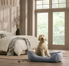 Piped Edge Pet Bed - Water