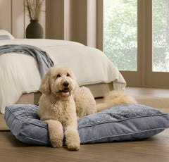Piped Edge Pet Cushion - Water