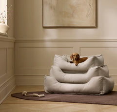 Piped Edge Pet Bed - Bone