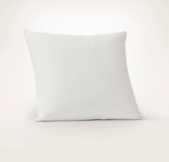 Feather Down Decorative Pillow Insert (22x22)