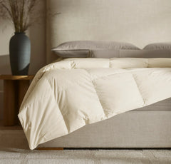 Percale Quilted Down Comforter - Cream