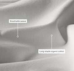 2-Signature Sheet Set Bundle