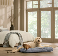 Piped Edge Pet Cushion - Water