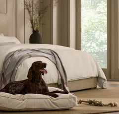 Piped Edge Pet Cushion - Biscuit
