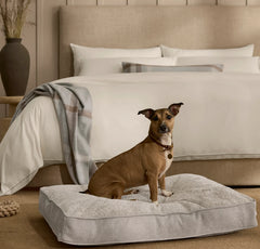 Piped Edge Pet Cushion - Bone