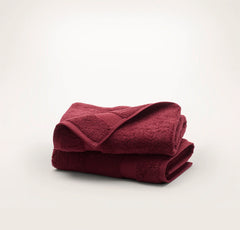 Plush Hand Towels (Pair) - Holly