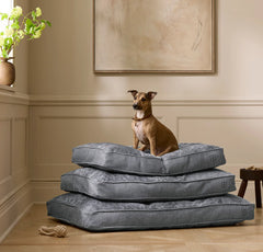 Piped Edge Pet Cushion - Biscuit